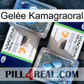 Gelée Kamagraoral viagra5